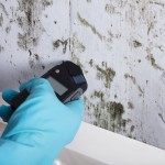 immobilienwert-verlust-durch-schimmelbefall
